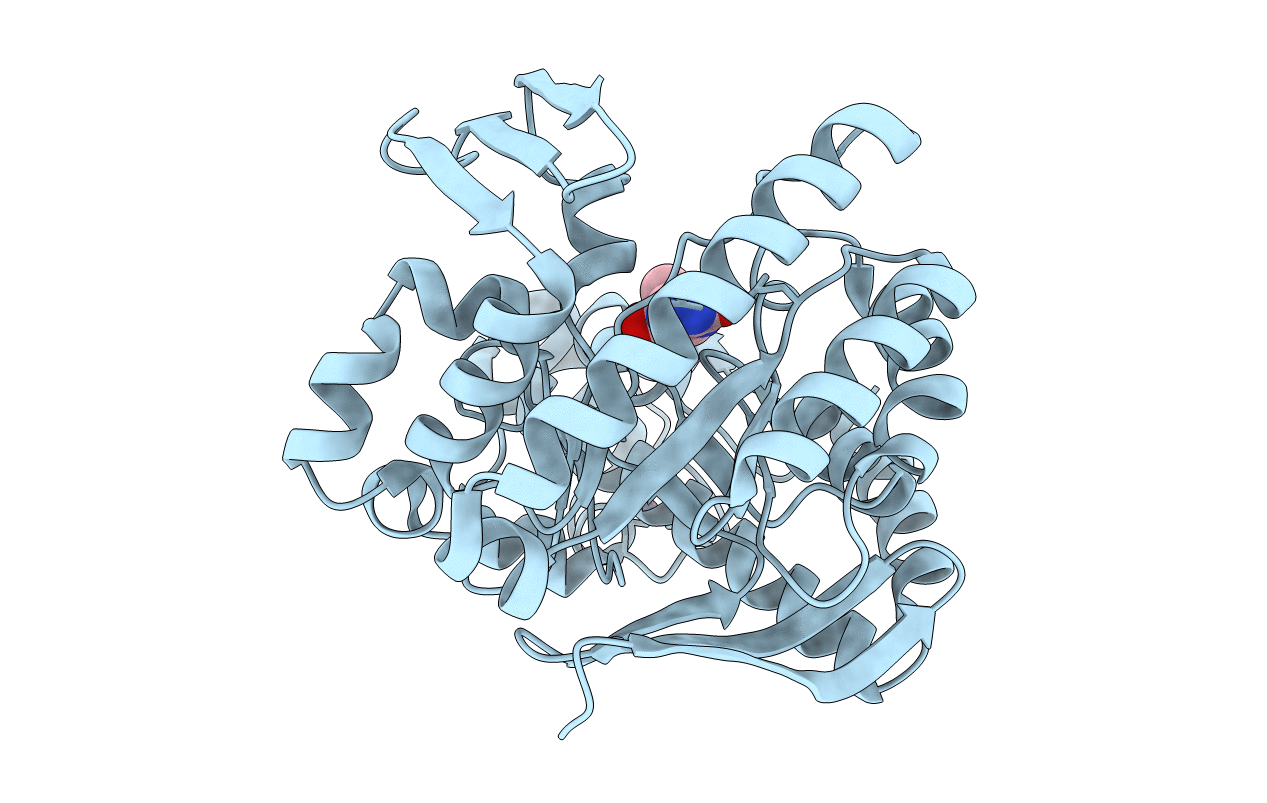 1N2V image