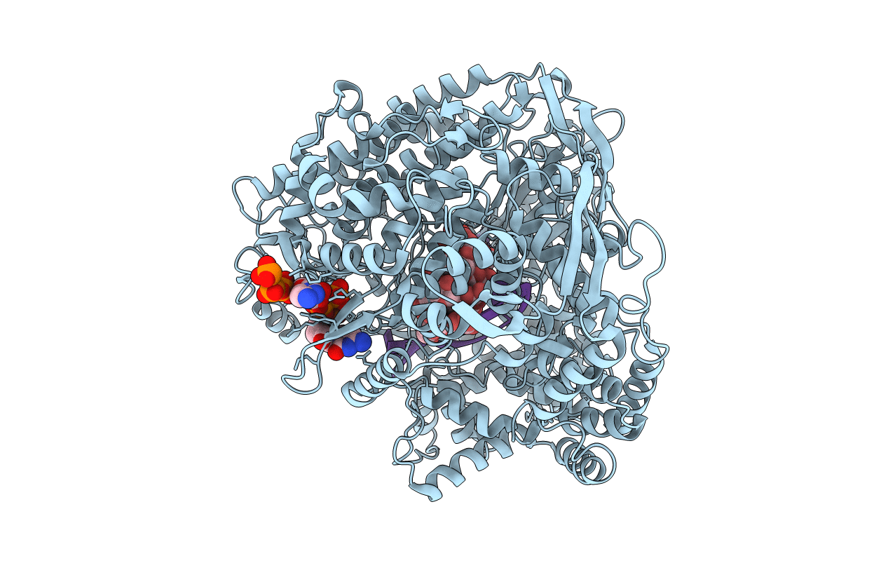 1N35 image