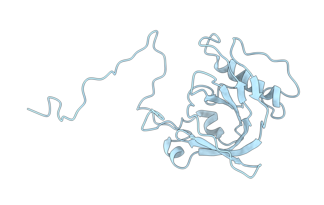 1N3H image