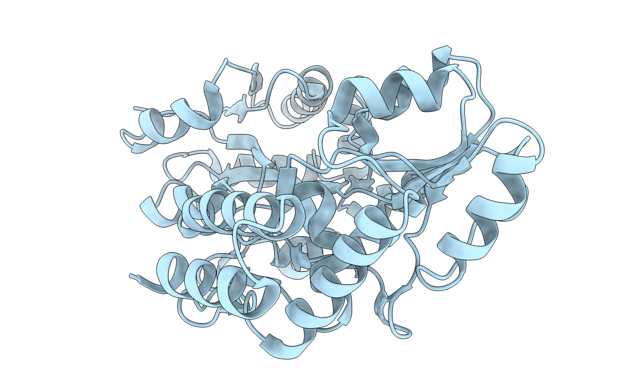 1N3X image