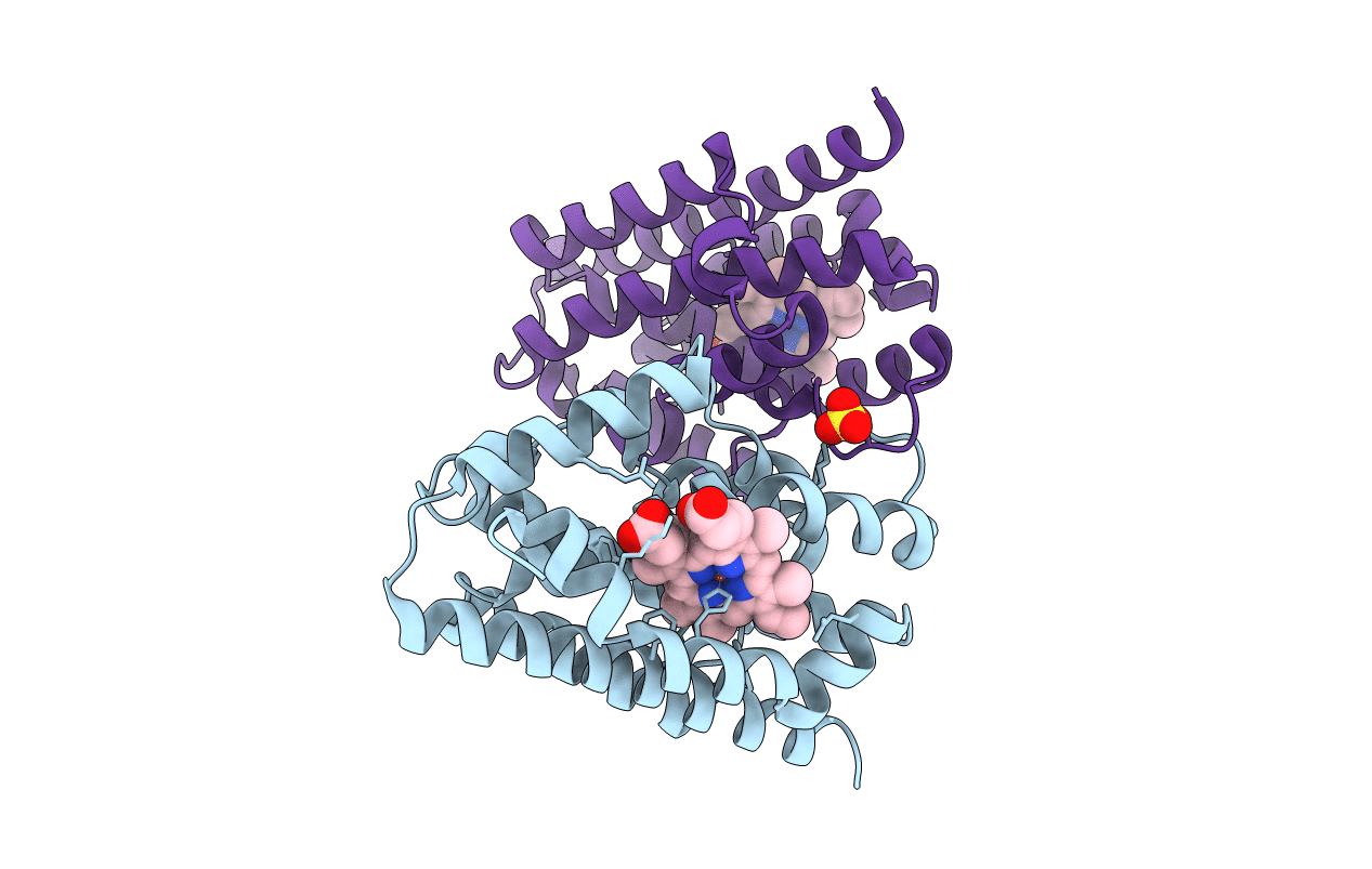 1N45 image