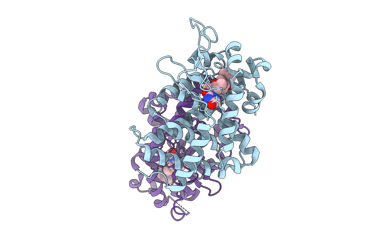 1N46 image