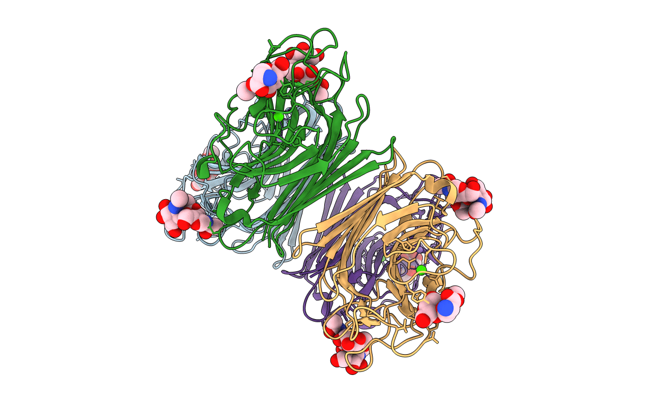 1N47 image