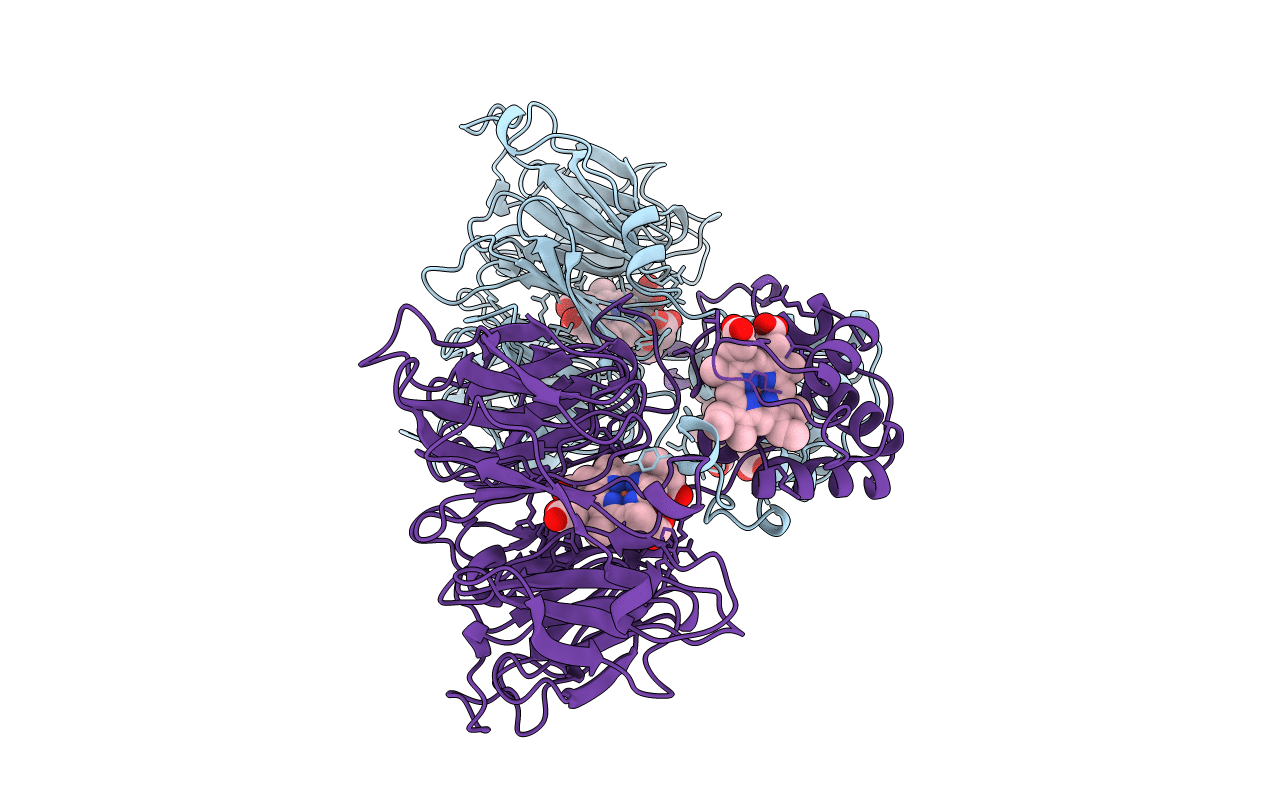 1N50 image