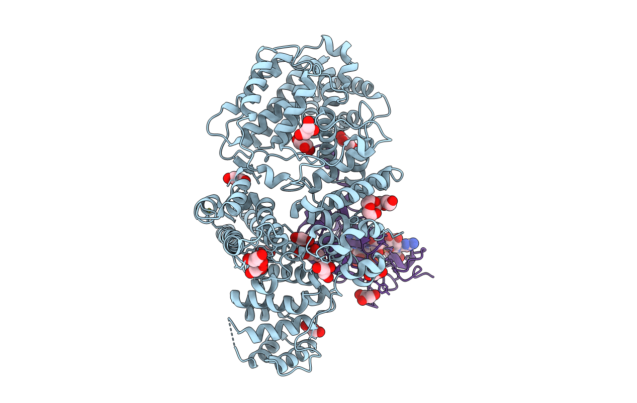 1N52 image