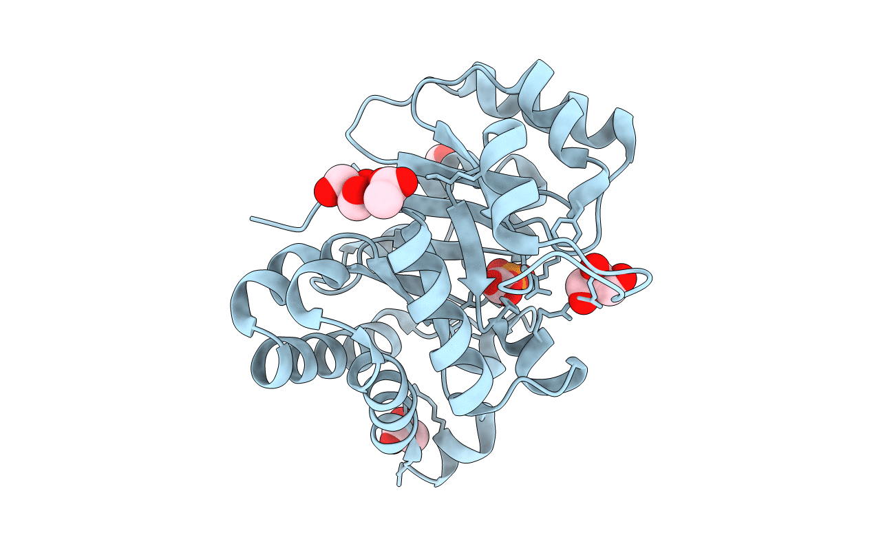 1N55 image