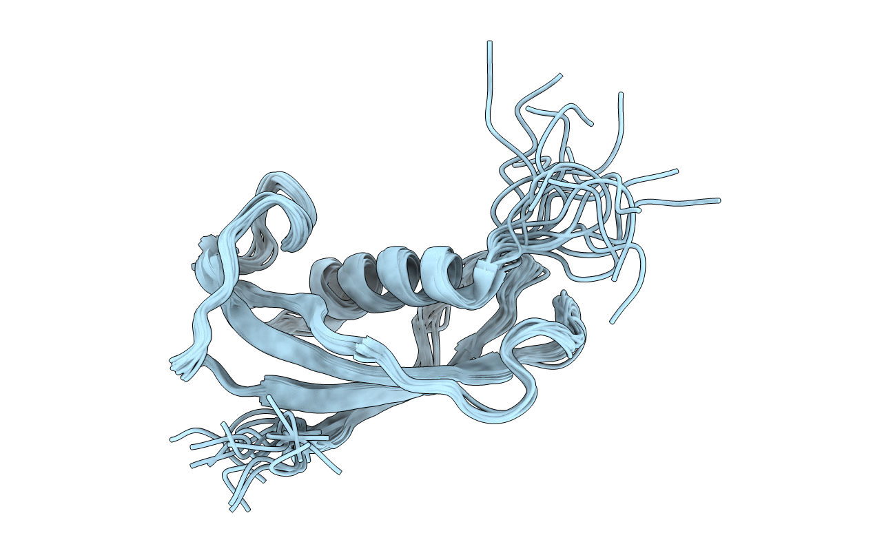 1N5H image