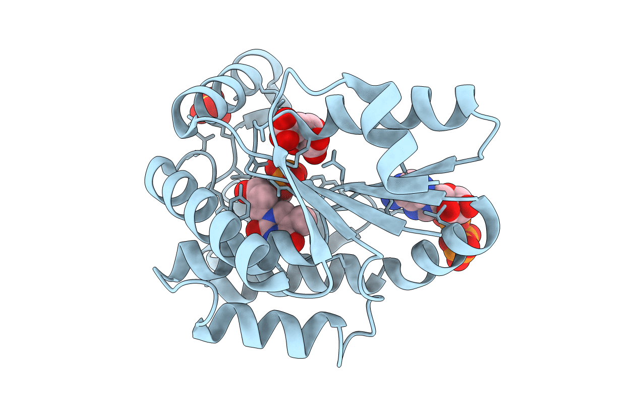 1N5I image