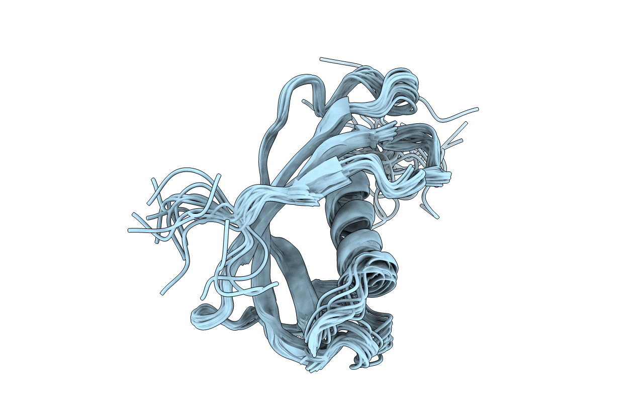 1N5P image