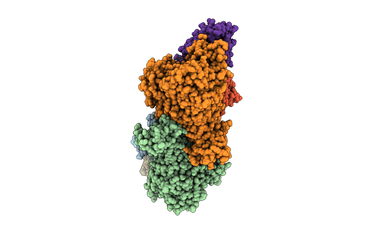 1N62 image