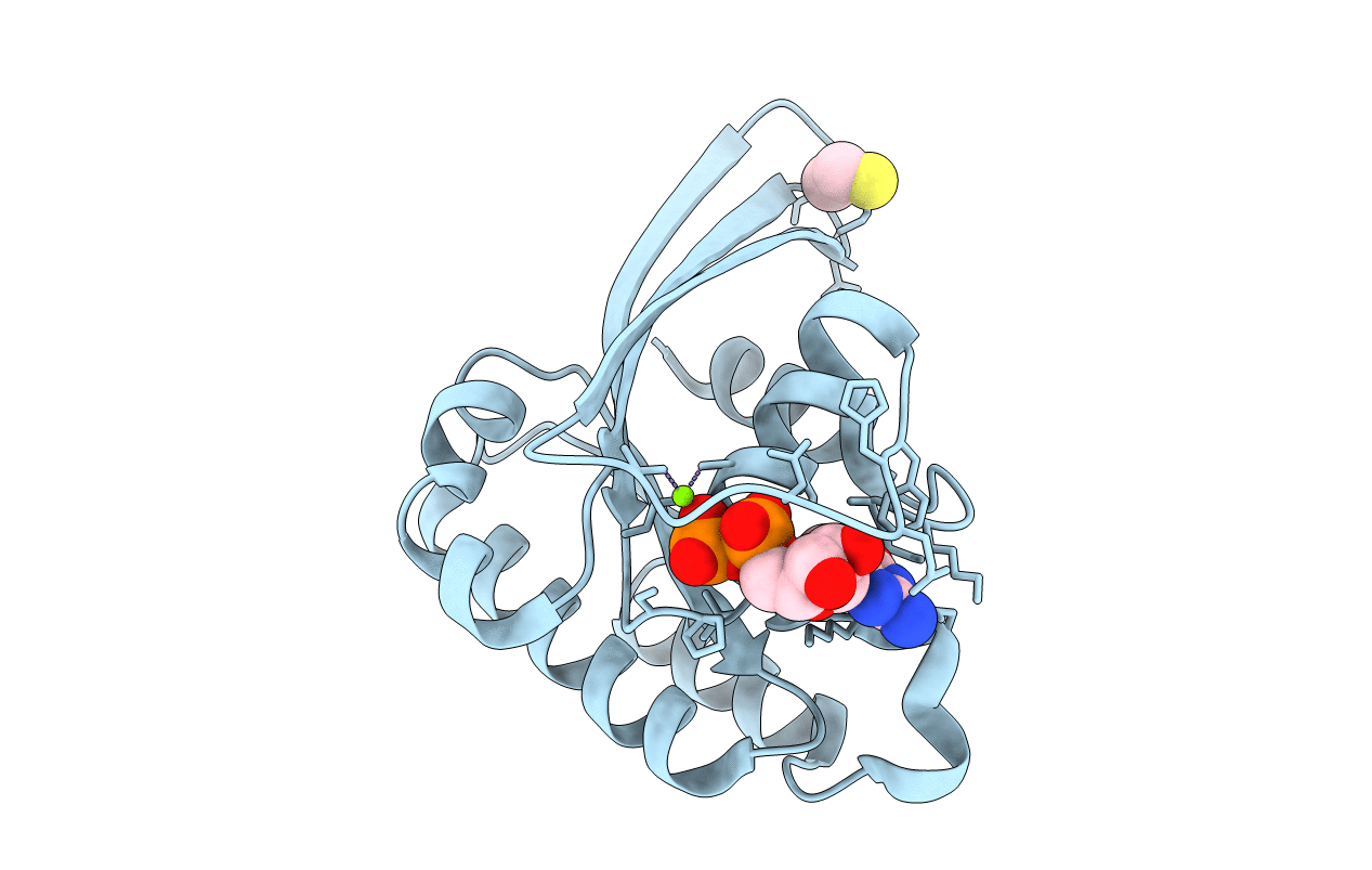 1N6I image