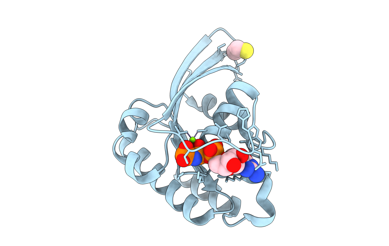 1N6O image