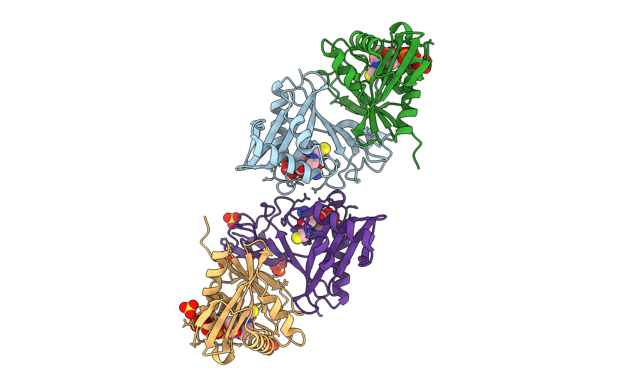 1N71 image