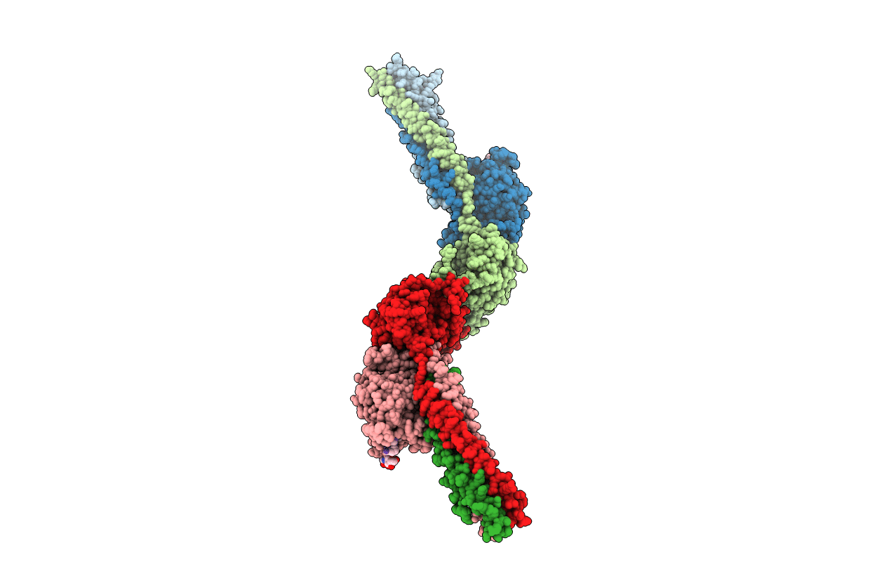 1N73 image