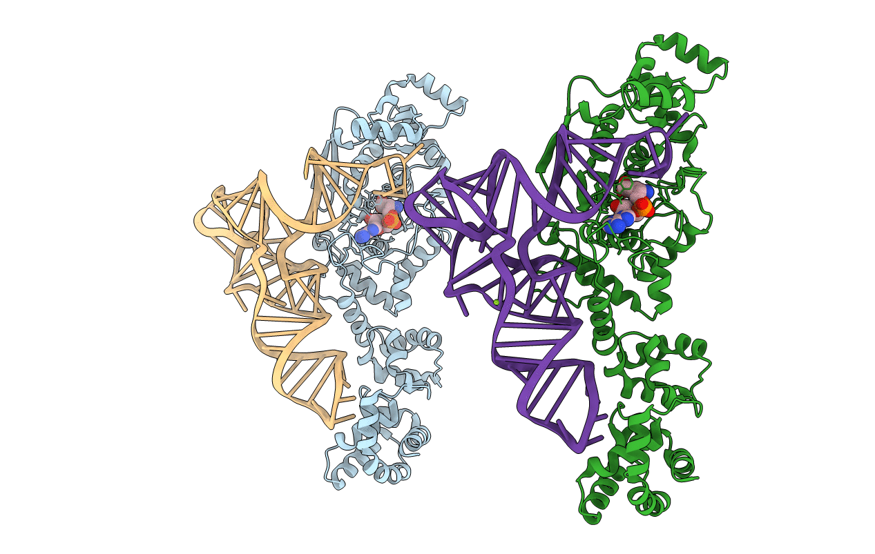 1N78 image