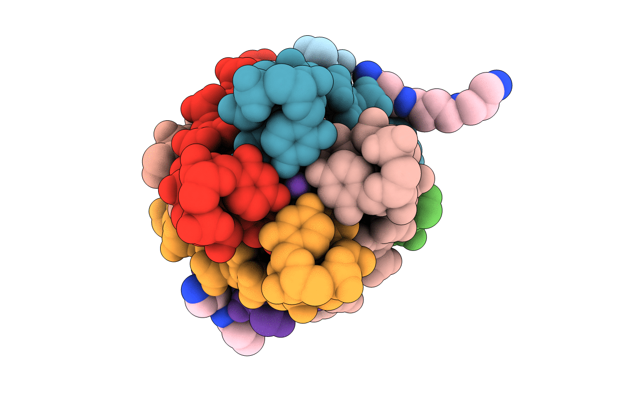 1N7B image