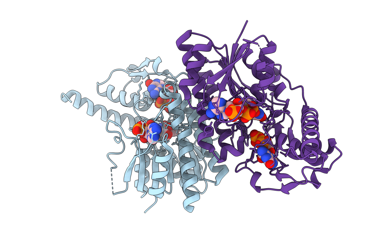 1N7H image