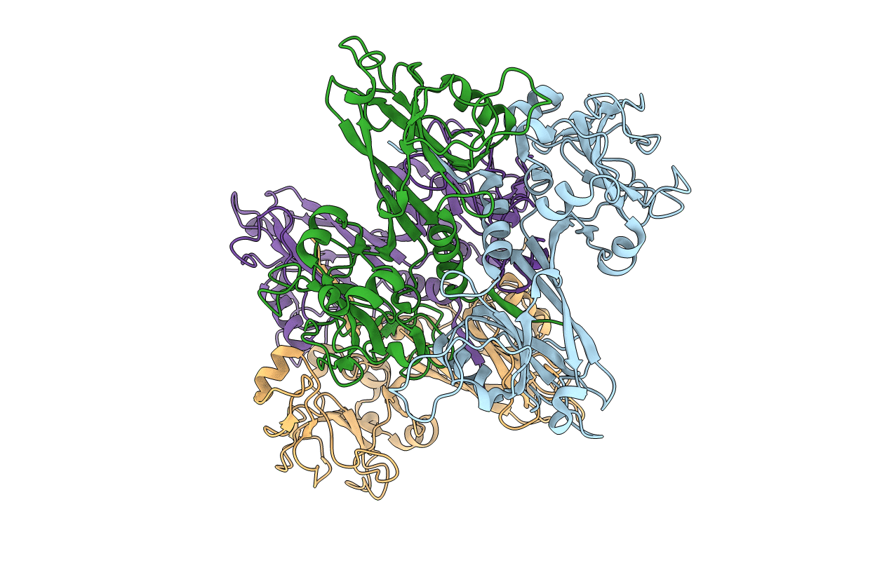 1N80 image