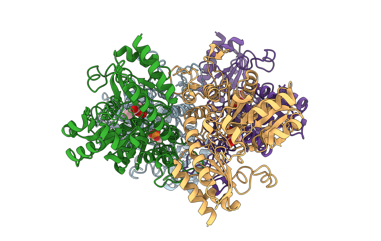 1N8P image