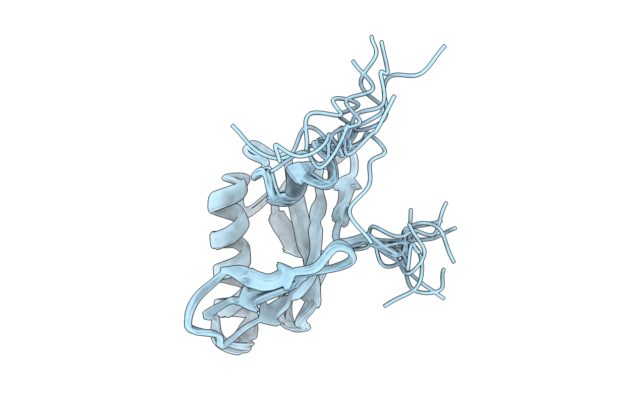 1N91 image