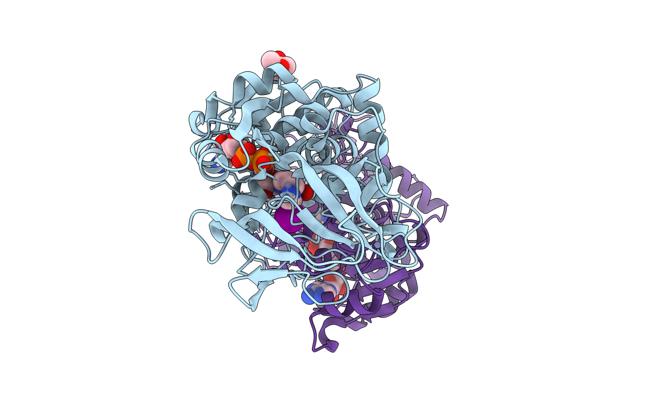 1N92 image