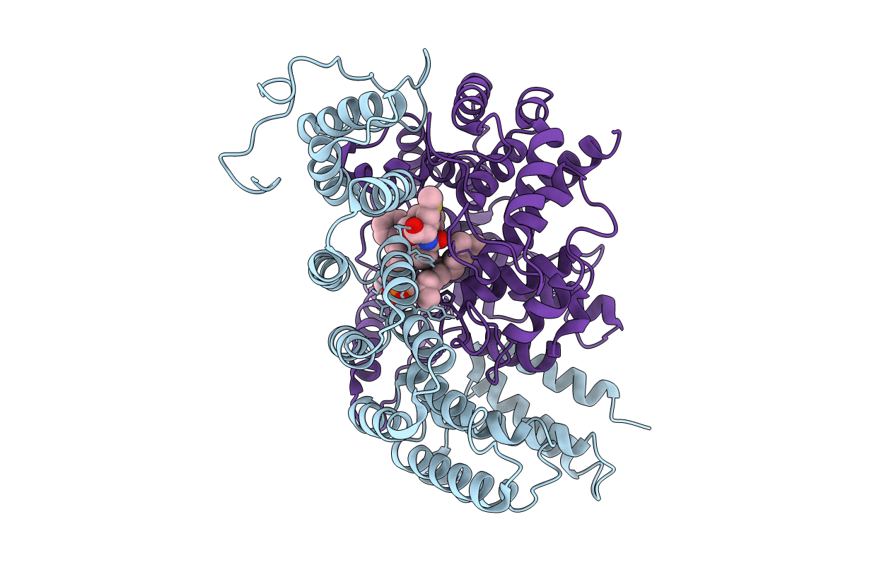 1N94 image