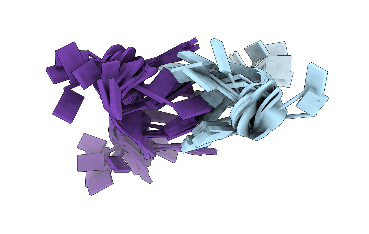 1N96 image