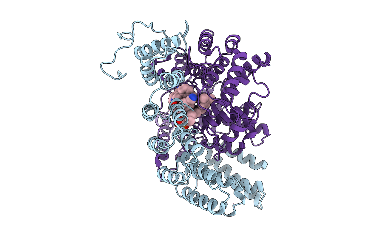 1N9A image