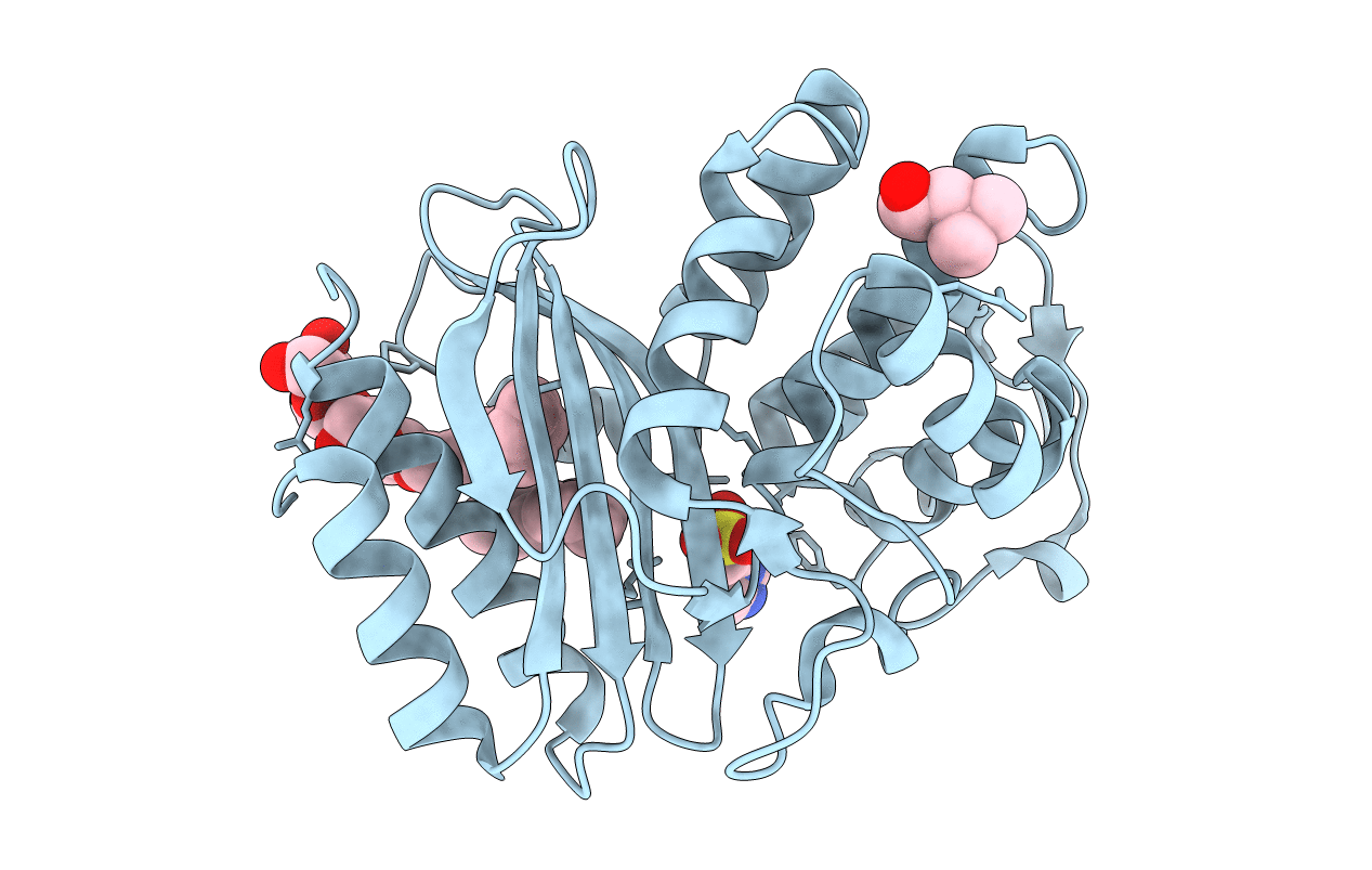 1n9b image