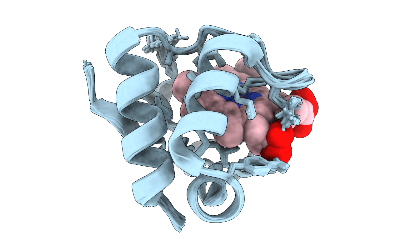 1N9C image