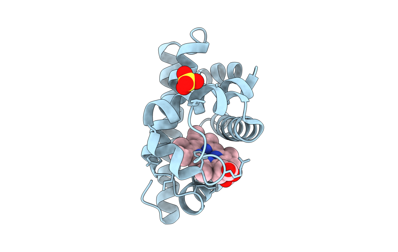1n9i image