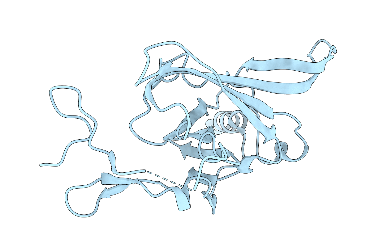 1N9P image