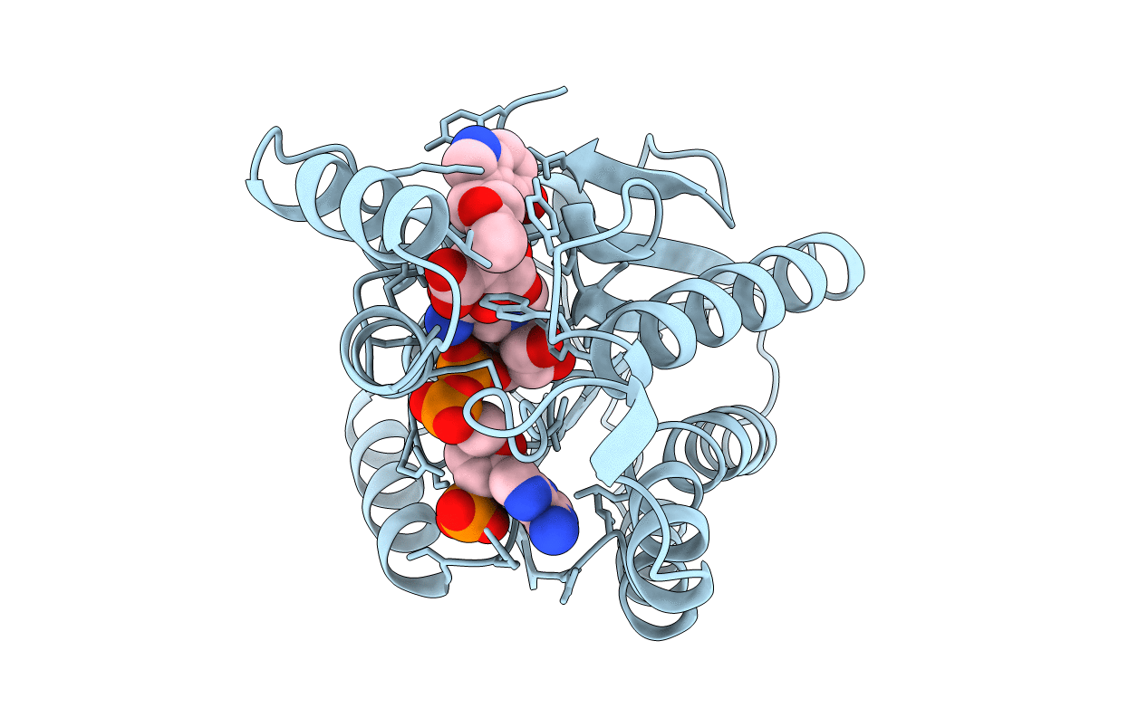 1NAS image