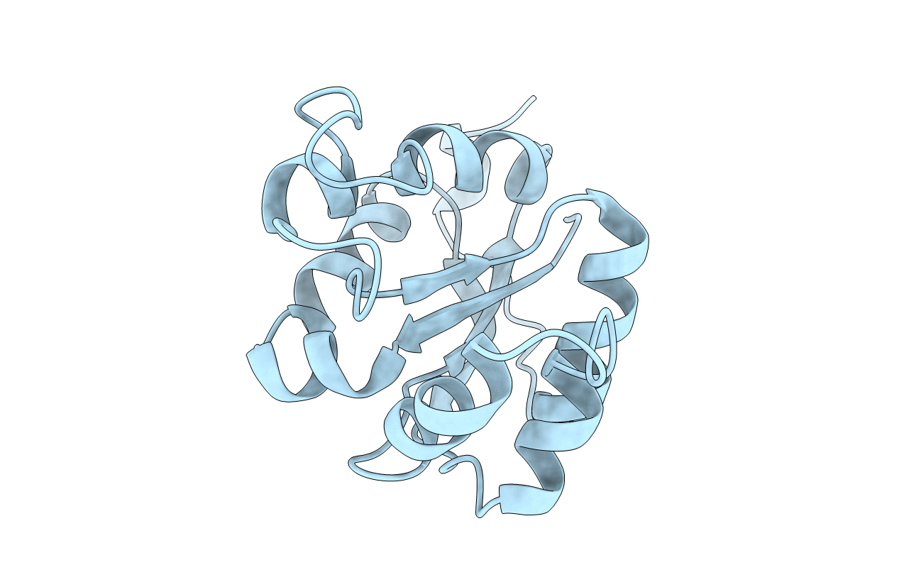 1NB2 image