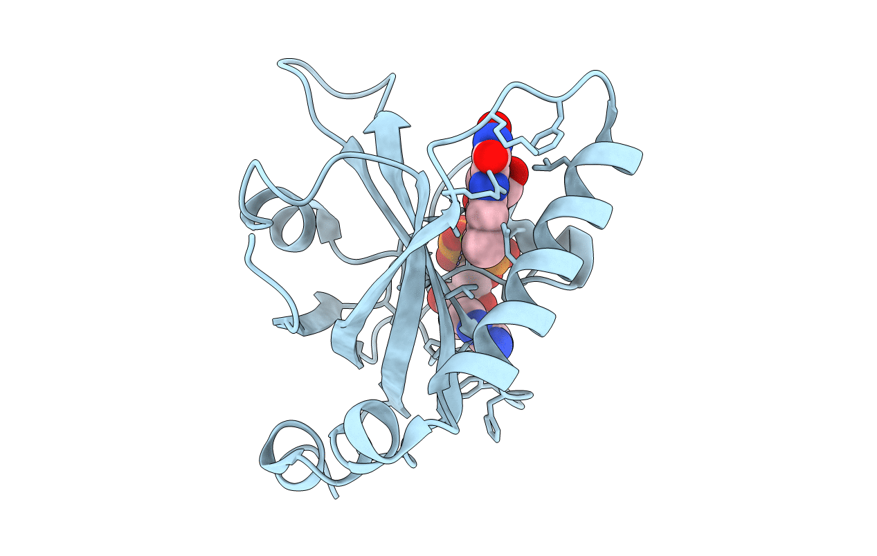 1NB9 image