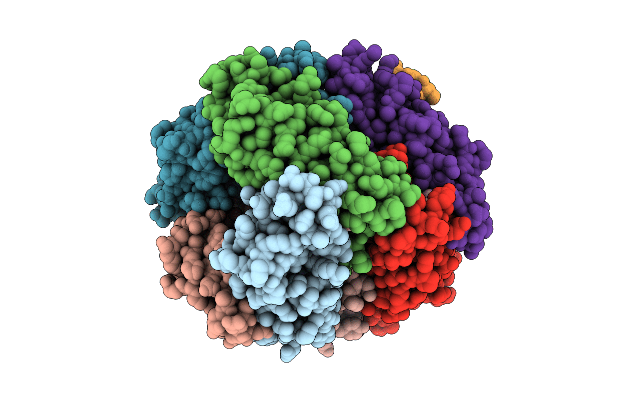 1NBU image