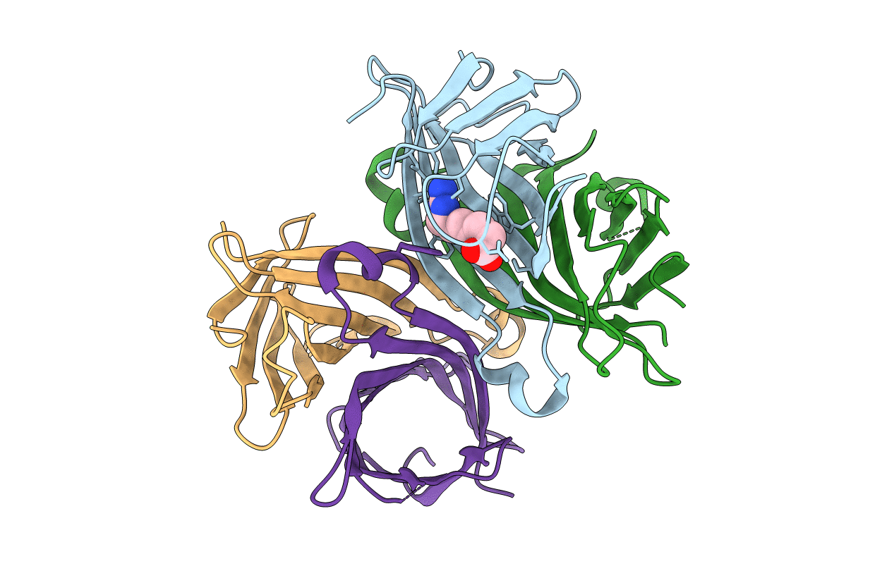 1NC9 image