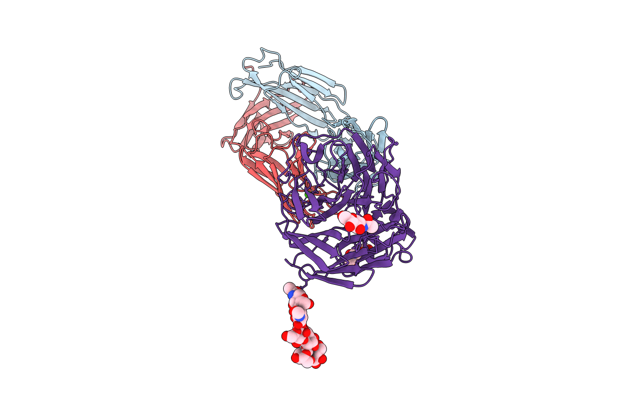 1NCC image