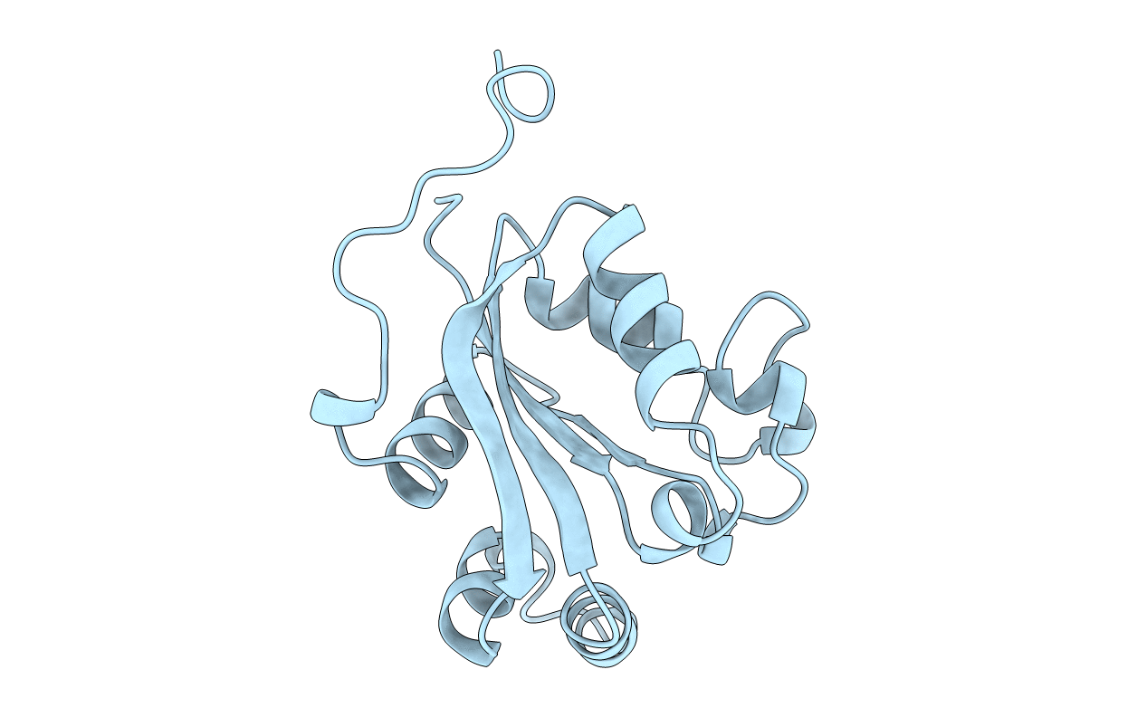 1NCL image