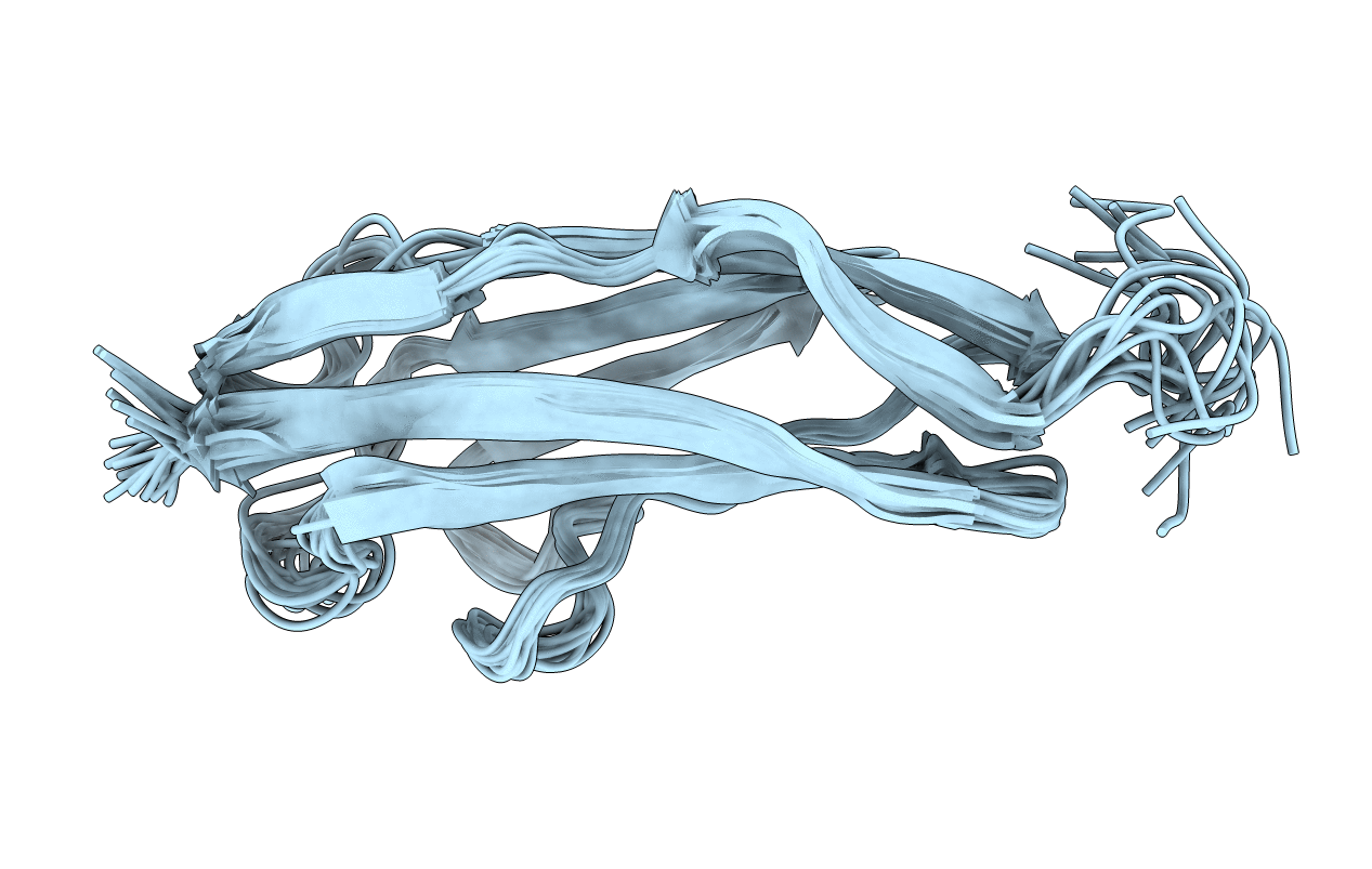 1NCU image