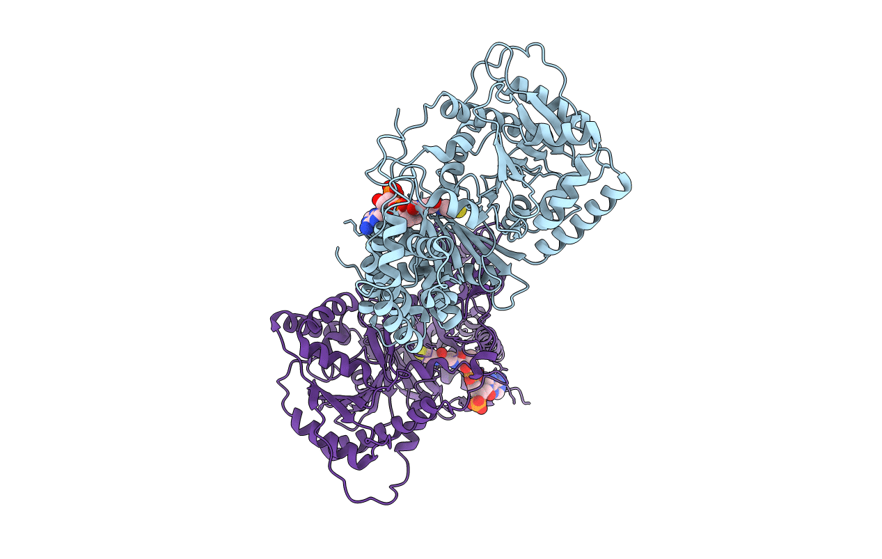 1NDI image