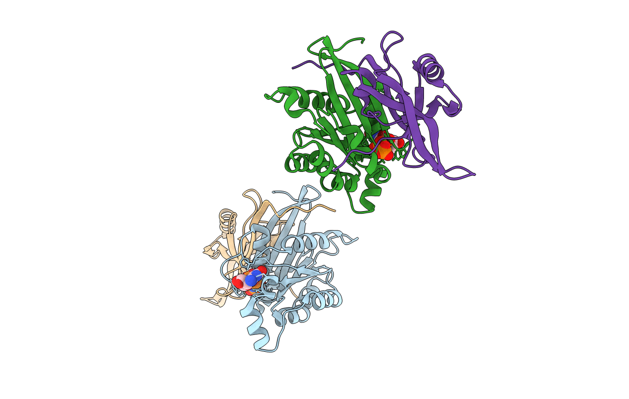 1NF3 image