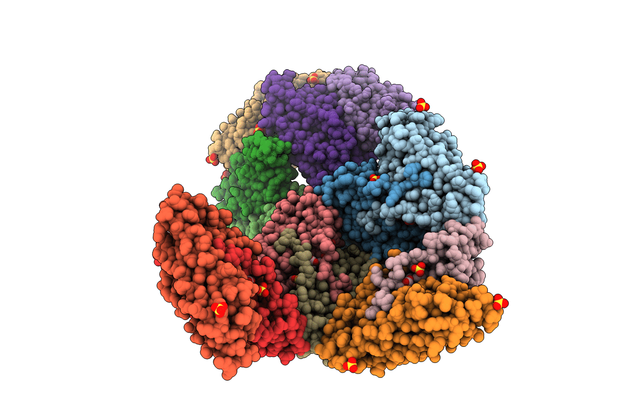 1NF6 image