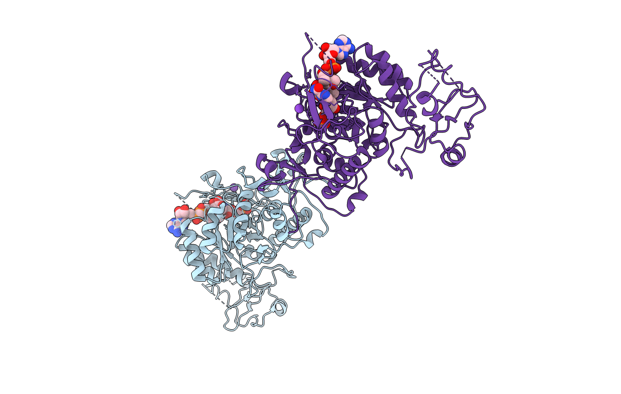 1NF7 image