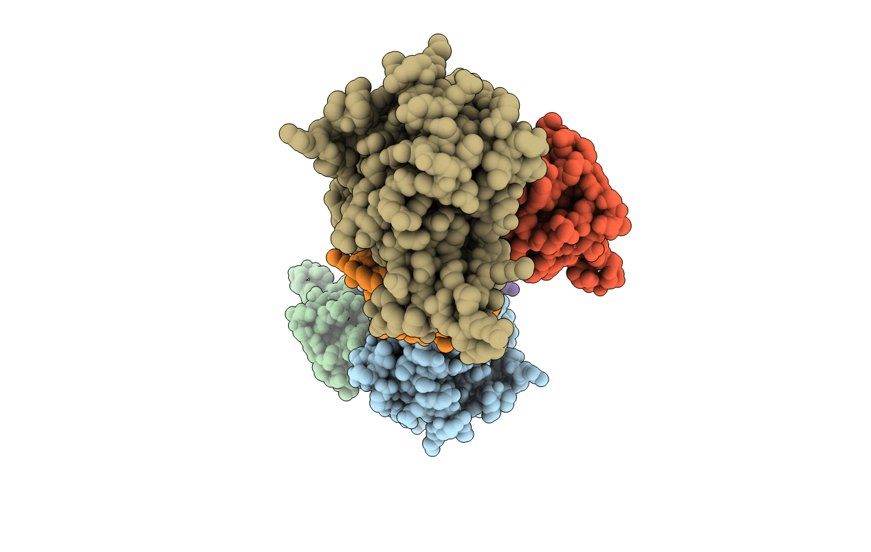 1NFI image