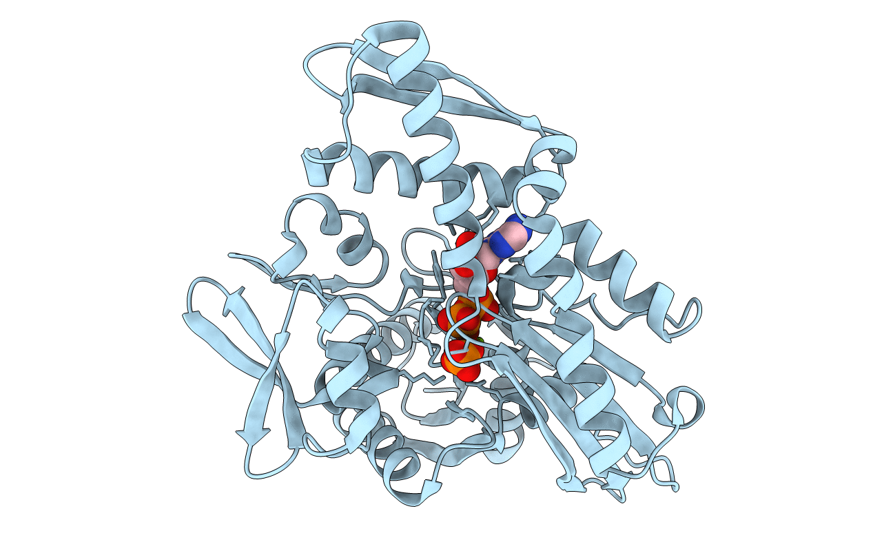 1NGB image