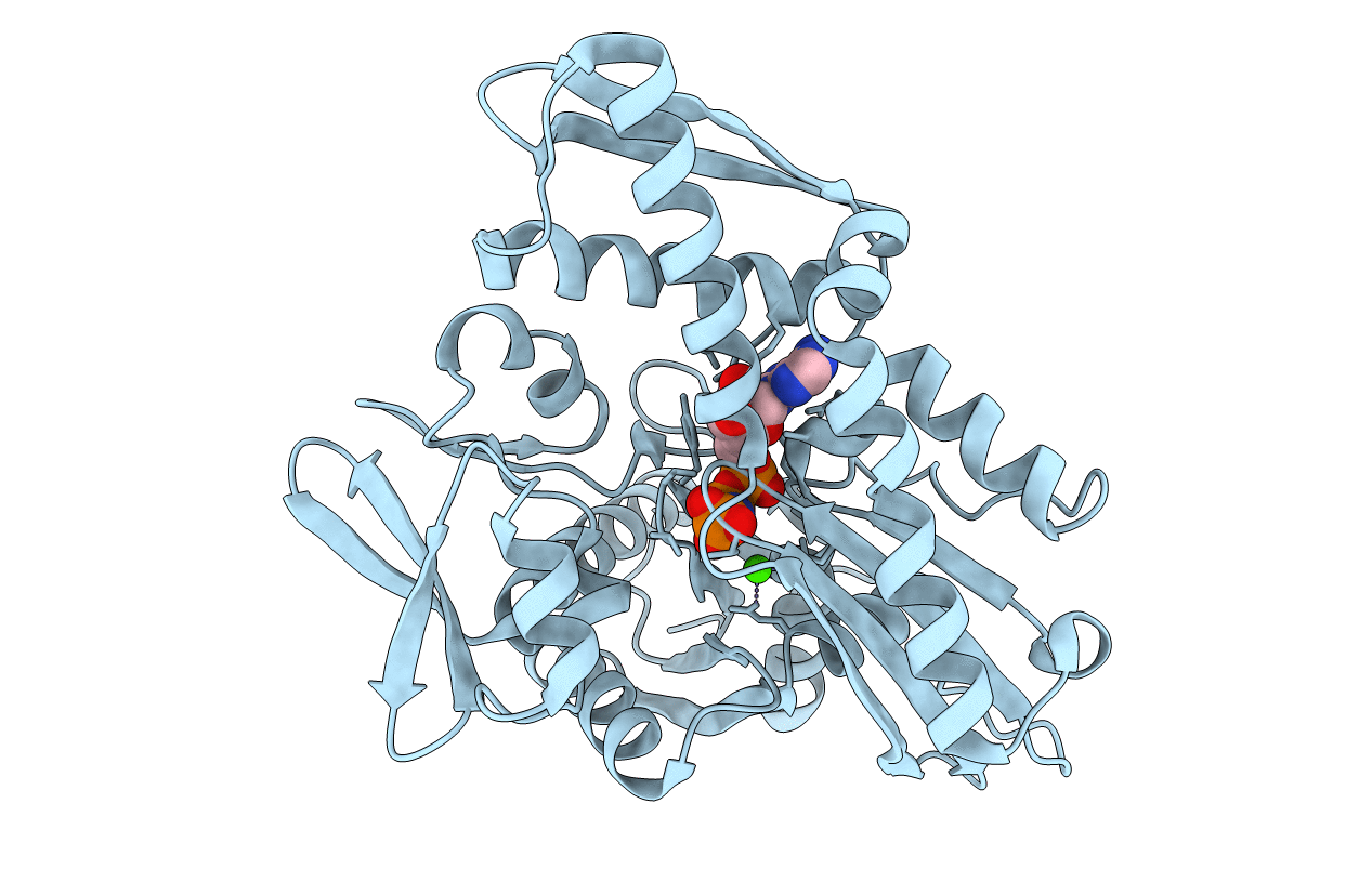 1NGI image