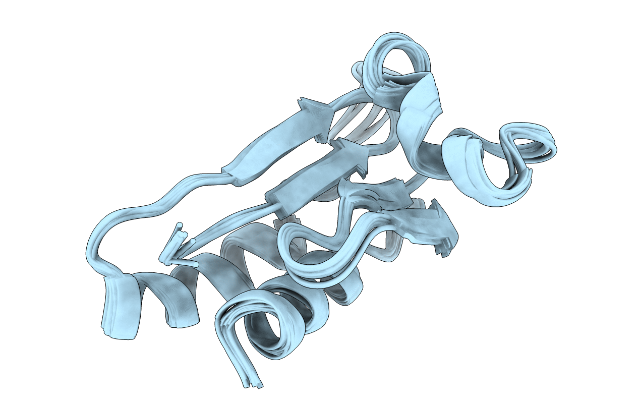 1NHO image