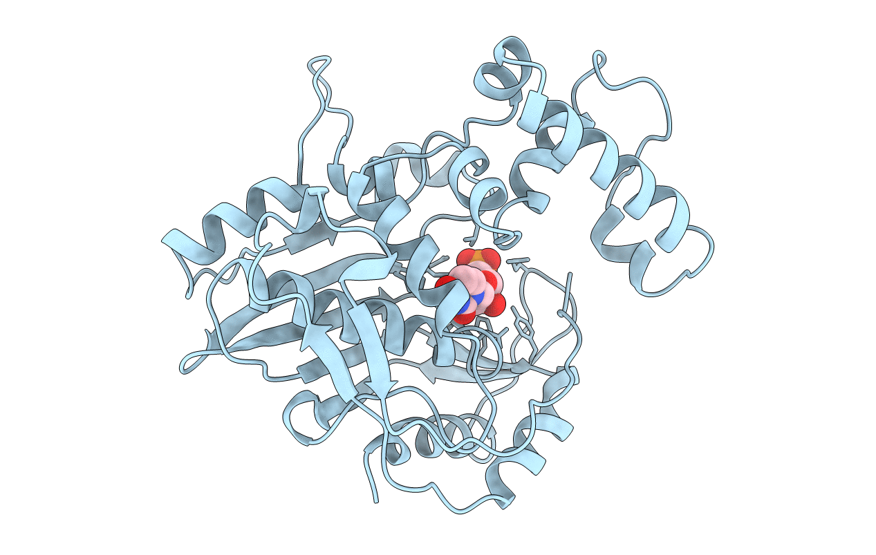 1NJB image