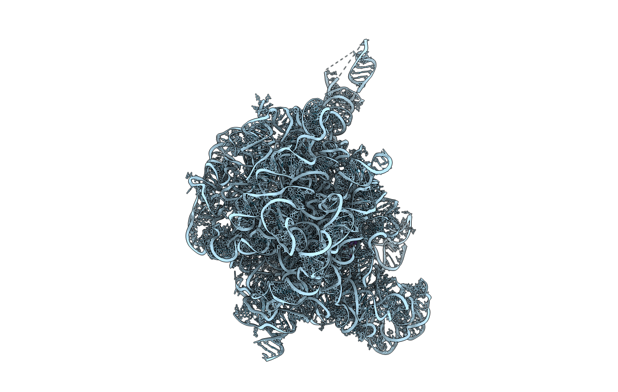 1NJO image